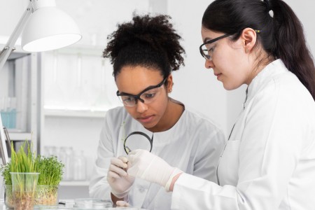FAPESP e ABC abrem inscrições para intercâmbios de alunos de graduação em pesquisa científica