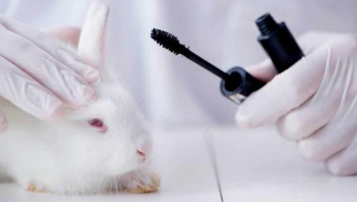 Lula sanciona lei que proíbe testes em animais para cosméticos e produtos de higiene no Brasil
