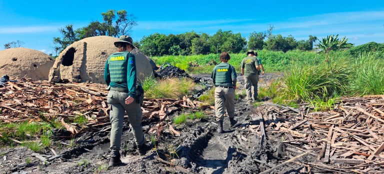Ibama realiza operação para desmantelar fraudes em créditos de produtos florestais no Pará