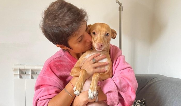 Campanha busca apoio para tratamento de Zoe, cachorrinha com tumor cerebral e sem assistência médica na Espanha