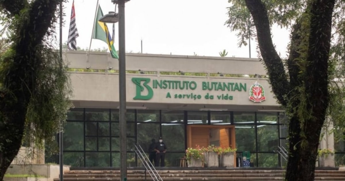 Câmara Municipal de São Paulo discute construção de prédios de até 48 metros no Instituto Butantan
