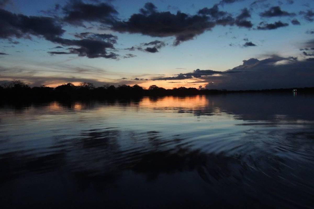 OEI destaca iniciativas de sustentabilidade e cultura na bacia amazônica durante a COP-30 em Belém