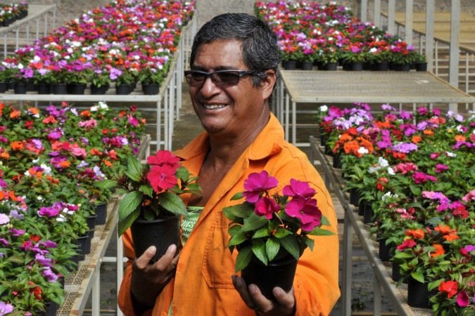 Jardins de Brasília: reeducandas transformam vidas e embelezam a cidade com flores e mudas produzidas nos viveiros da Novacap