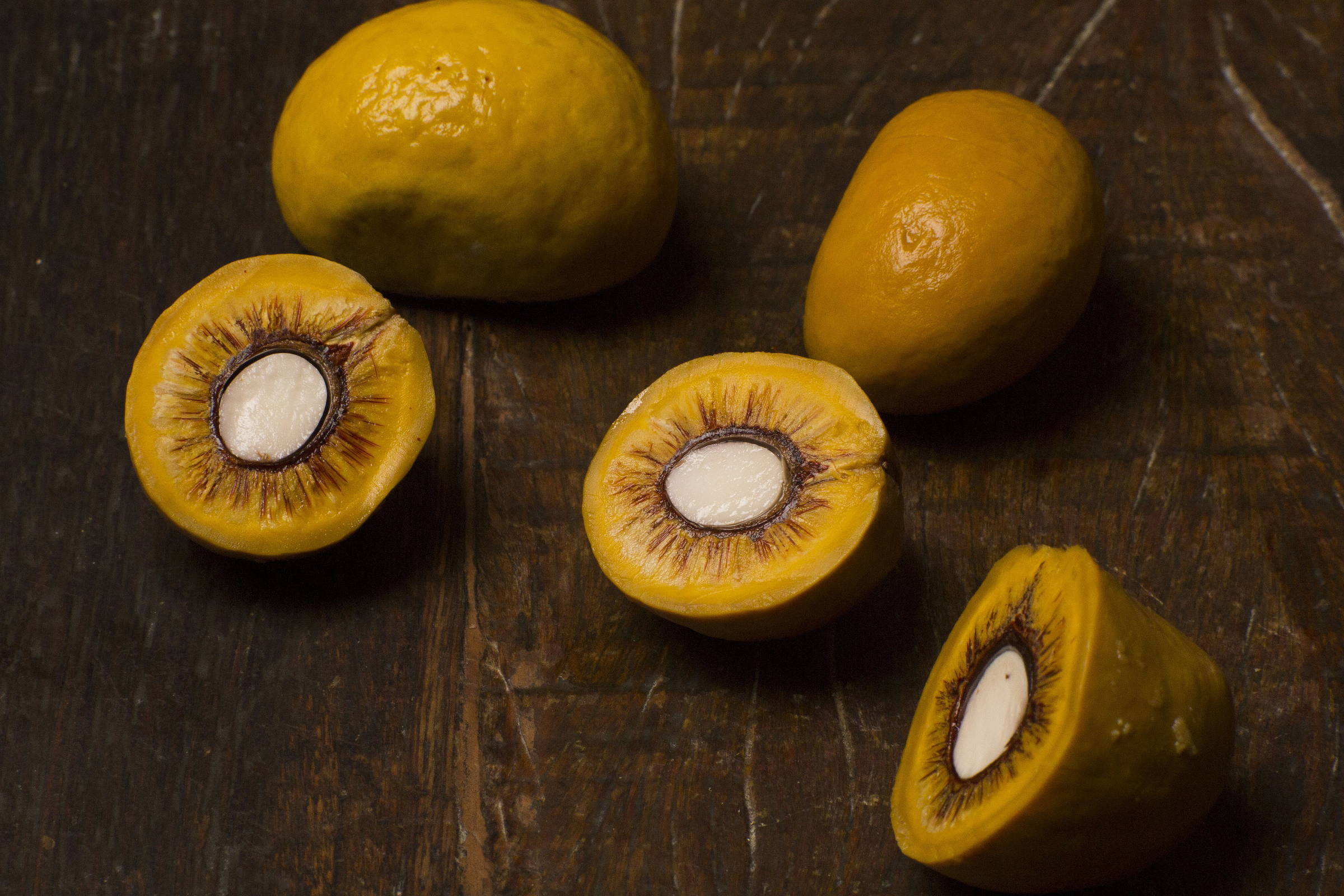 Frutos do cerrado ganham destaque em estudo que revela seu potencial nutricional e uso alimentar