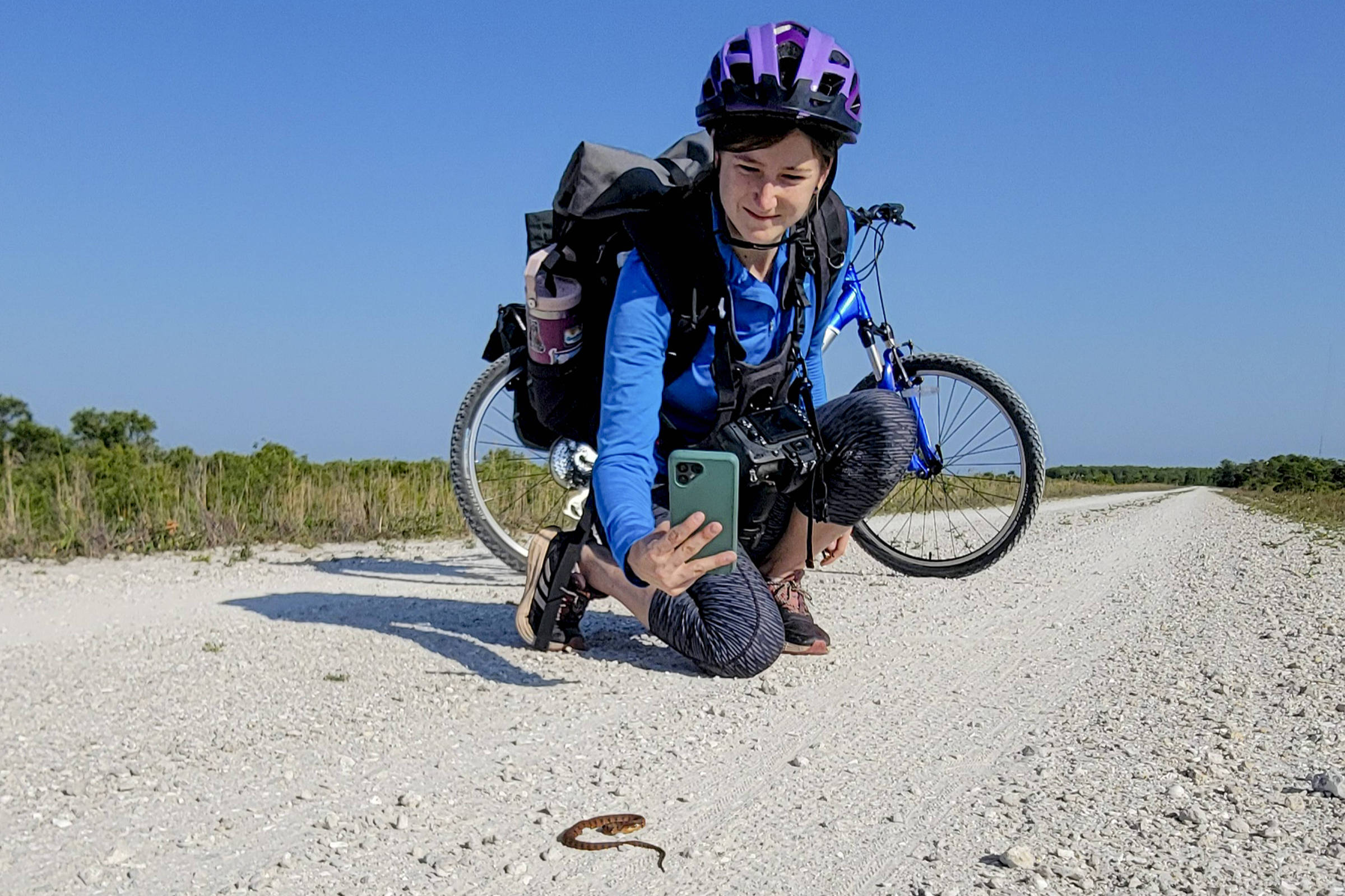 Cientistas utilizam dados do iNaturalist para acelerar pesquisas sobre biodiversidade e novas espécies