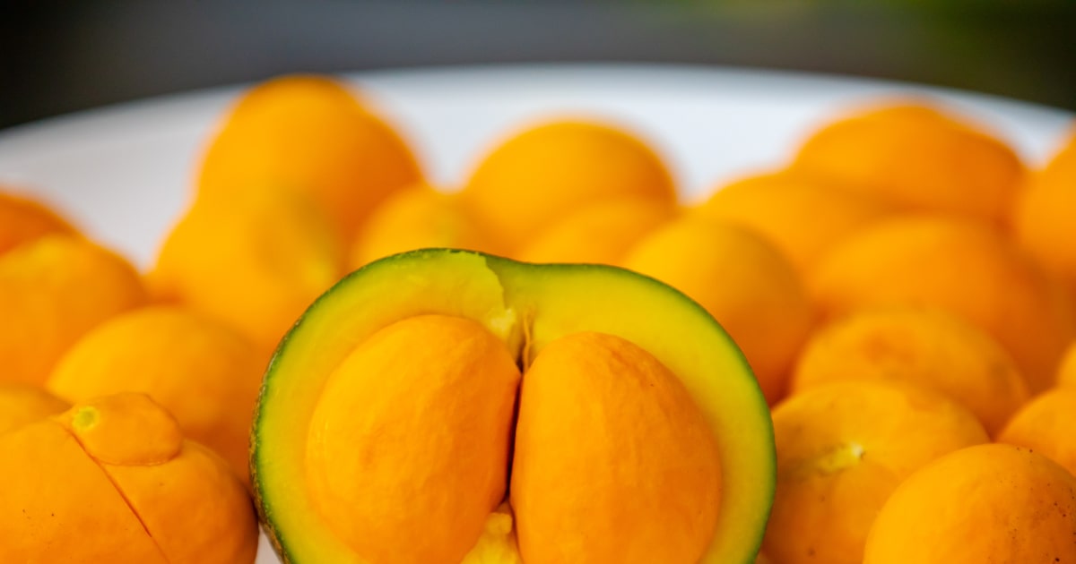 Pequi: a fruta do Cerrado que une tradição, saúde e ciência em estudos inovadores