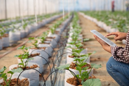 Centro de Ciência para o Desenvolvimento em Agricultura Digital lança boletim para conectar tecnologia e campo