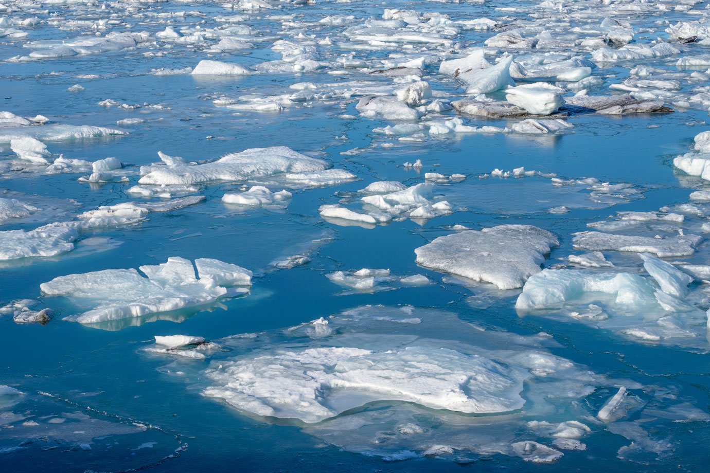 Águas do oceano antártico se tornam mais salgadas e impactam ecossistemas e clima global