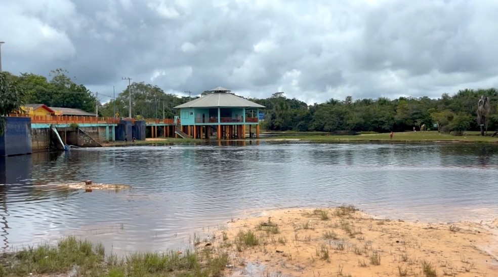 Mudanças climáticas e microplásticos ameaçam a biodiversidade de fungos aquáticos na Amazônia