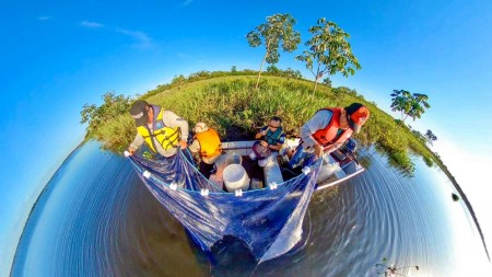 Rendimento pesqueiro no Alto Rio Paraná despenca 50% em duas décadas devido a espécies invasoras e degradação ambiental
