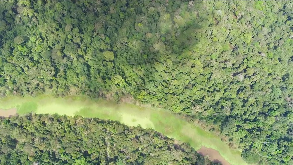Governo veta trechos de lei que flexibilizavam licenciamento ambiental e edita nova medida para obras estratégicas
