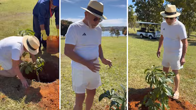 Lula planta baobá no Palácio da Alvorada como símbolo de juízo e resistência para futuros presidentes