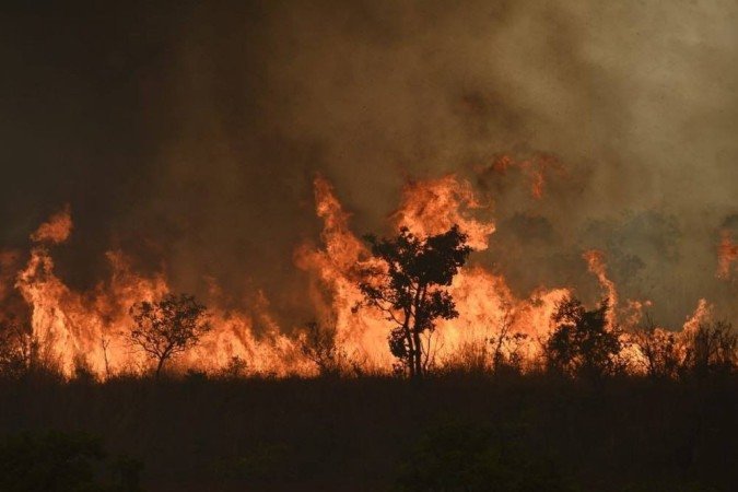Incêndios devastam 316 hectares de vegetação no Distrito Federal entre 8 e 10 de agosto