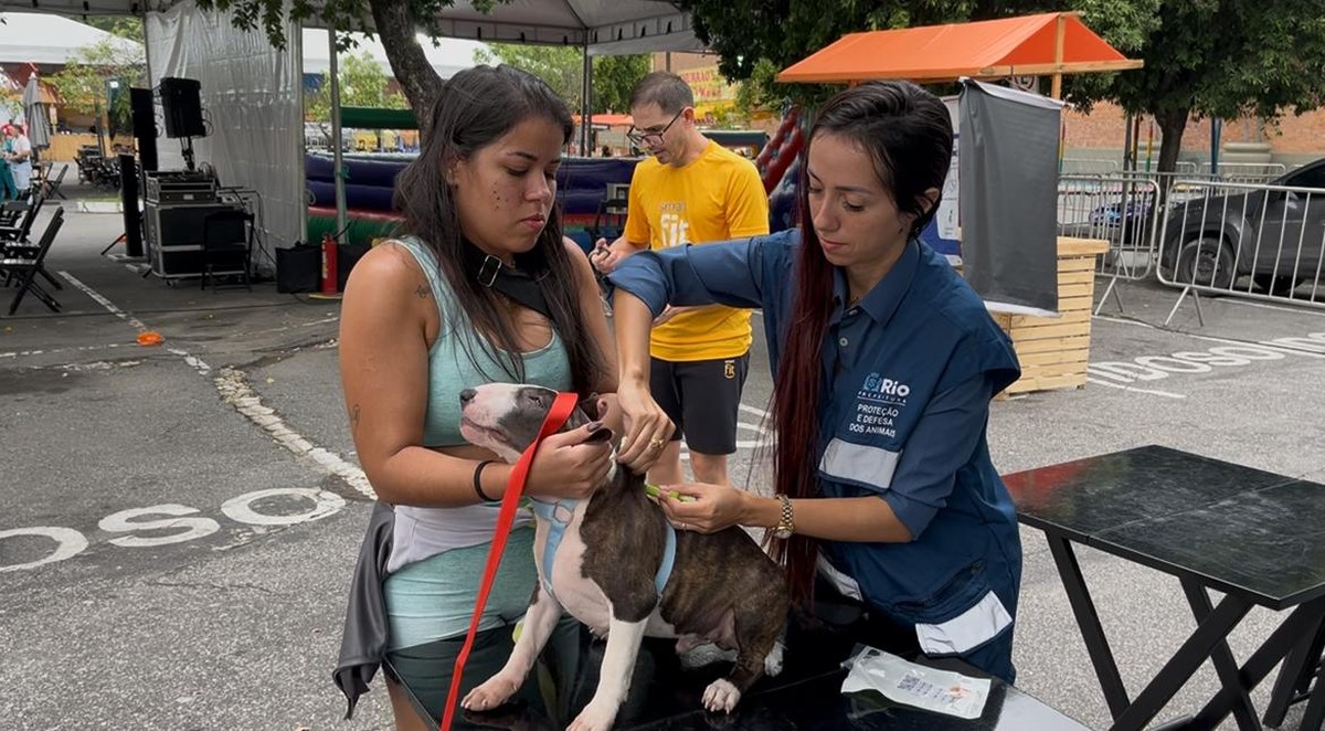 Campanha de vacinação antirrábica oferece imunização gratuita para cães e gatos no Rio de Janeiro