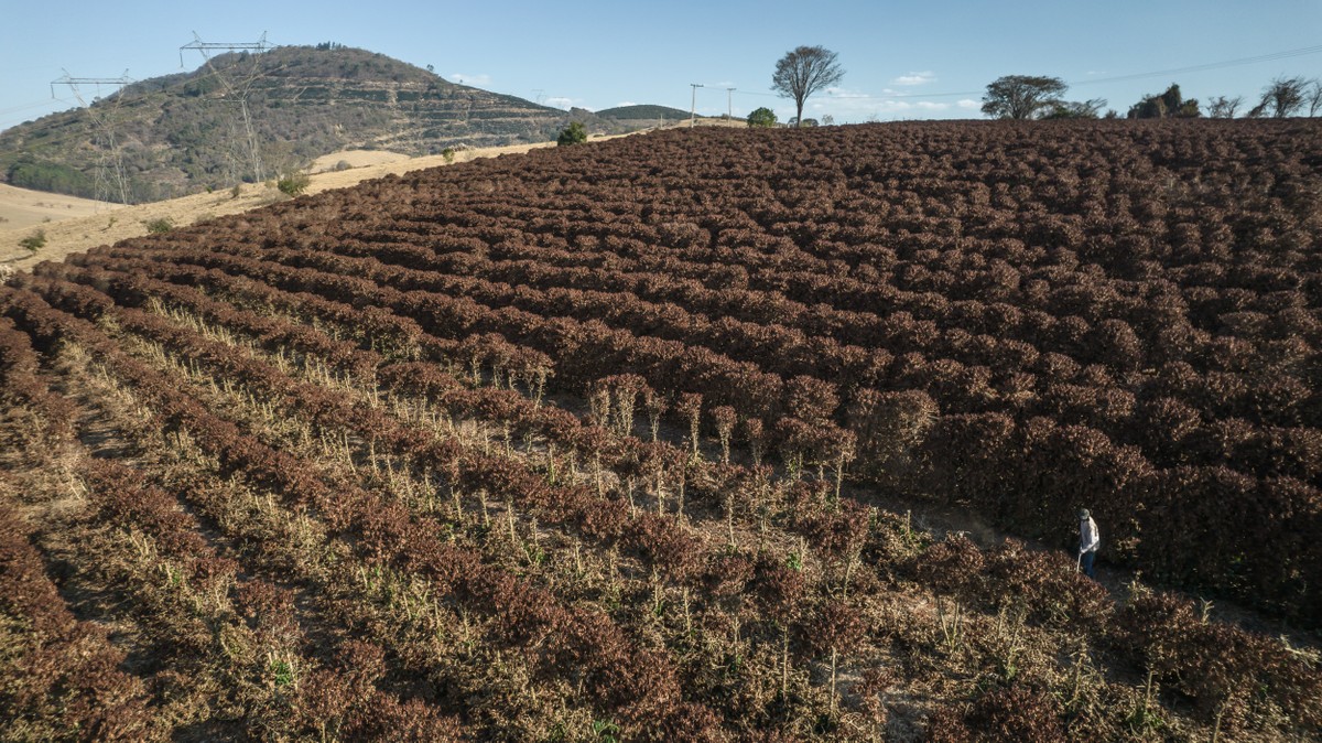 Clima extremo no Brasil desafia agricultura e impulsiona uso de tecnologias inovadoras para resistência das culturas