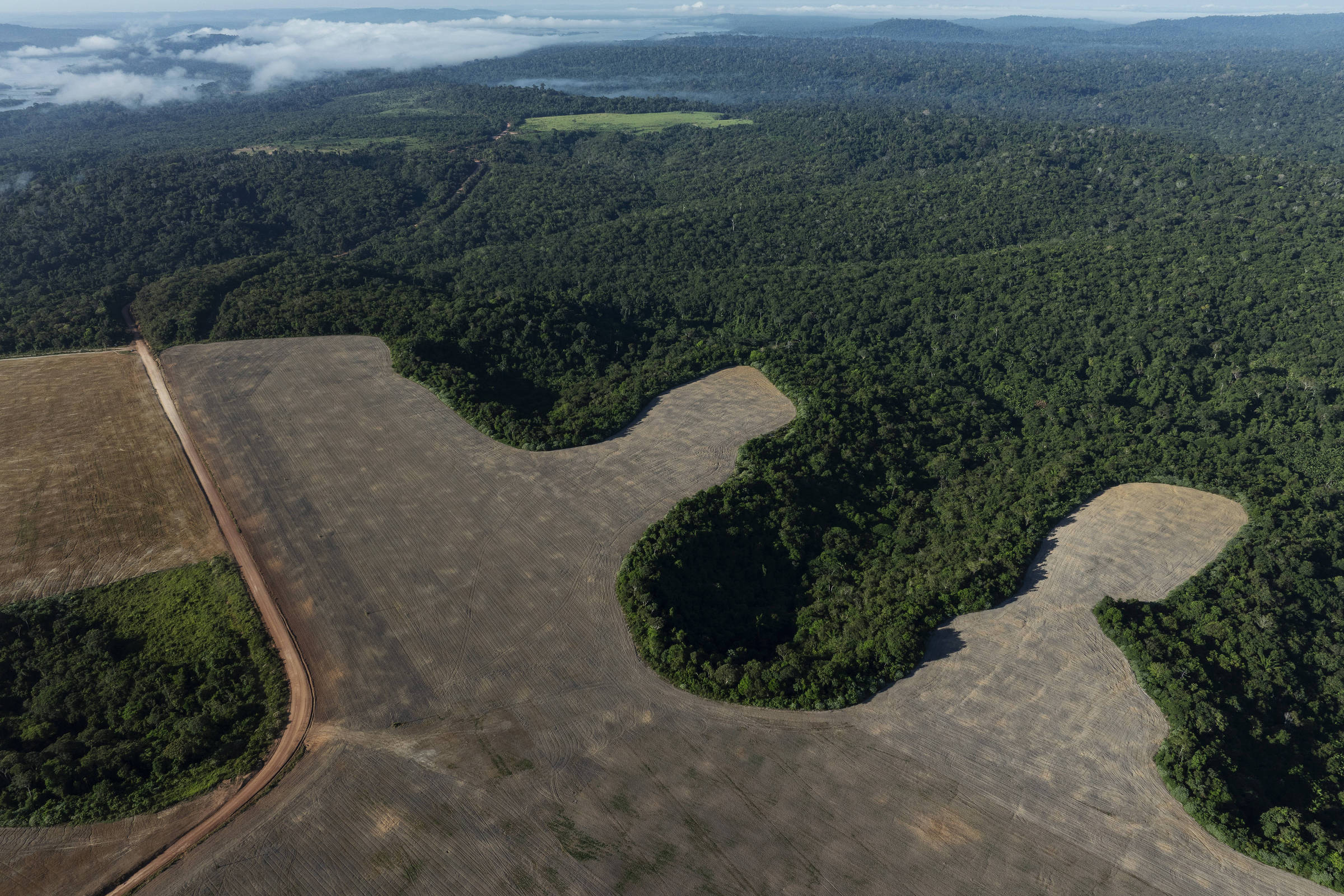 Brasil perde 111,7 milhões de hectares de áreas naturais em 40 anos, revela relatório do Mapbiomas