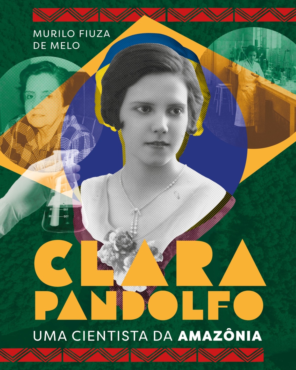 Clara Pandolfo: a pioneira que revolucionou o monitoramento do desmatamento na Amazônia brasileira