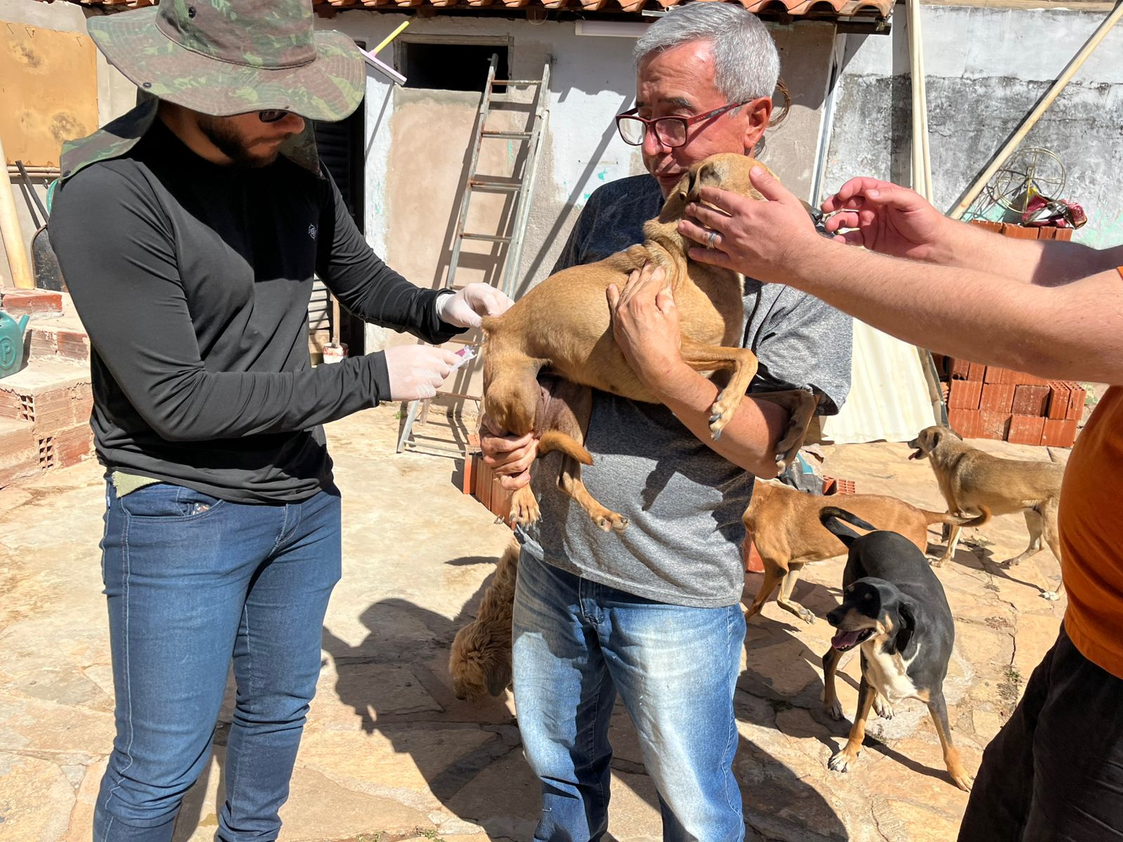 Nuval do Guará realiza vacinação itinerante e imuniza 63 animais contra raiva em Vicente Pires