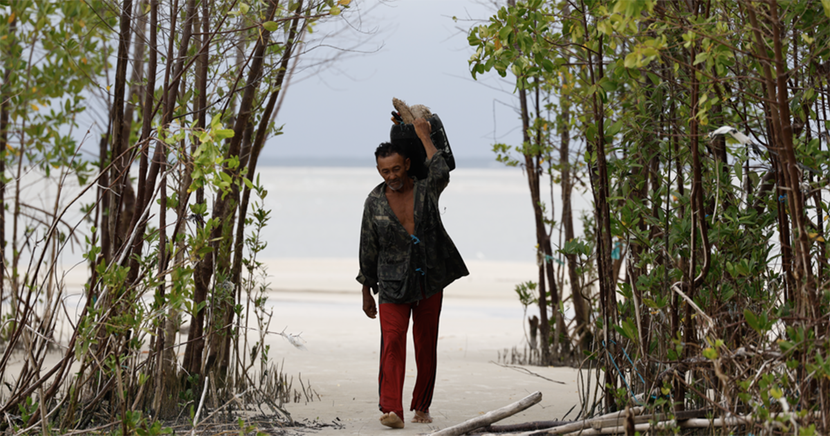 Amazônia carece de pesquisas em ciências humanas e saúde, aponta estudo de instituições brasileiras e tchecas