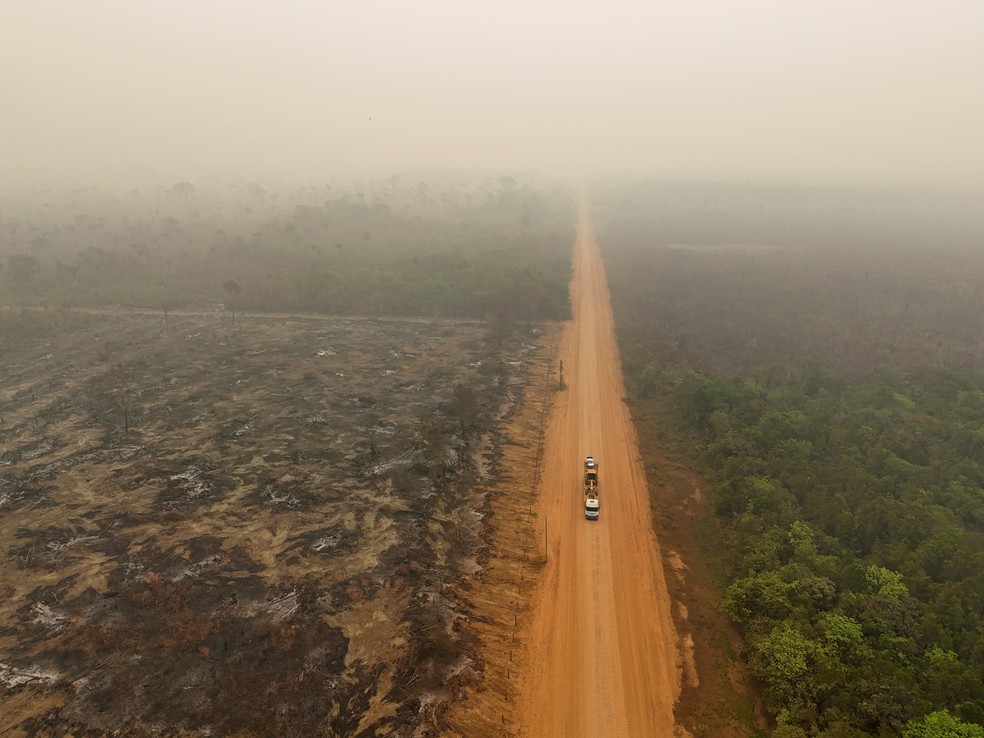 A Amazônia tem chance de recuperação, mas medidas urgentes são essenciais para evitar colapsos regionais