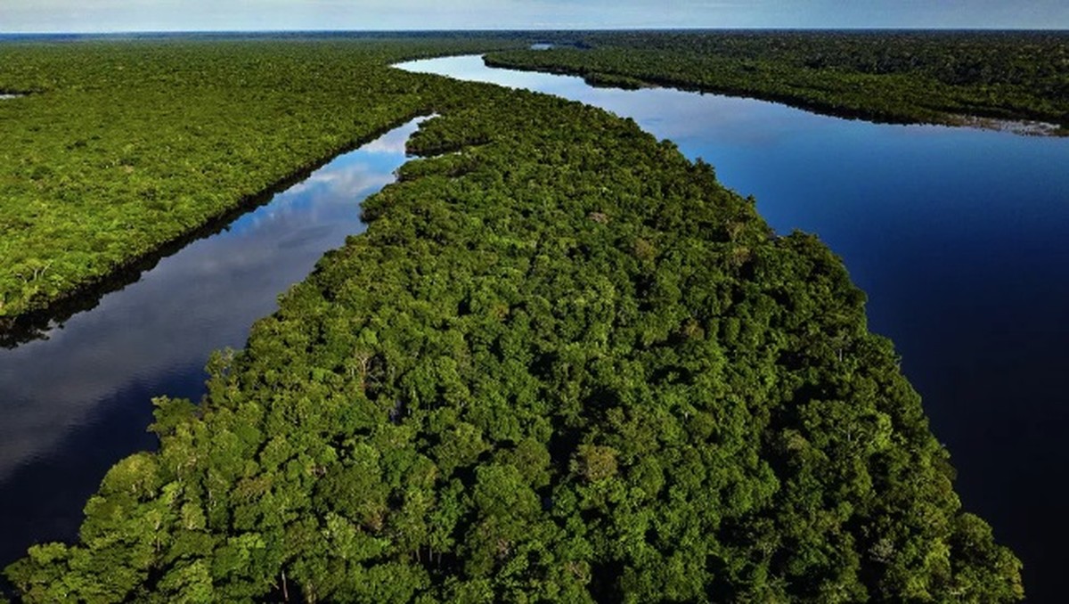 Amazônia ainda pode ser recuperada com ações urgentes de conservação, afirmam pesquisadores do Ipam