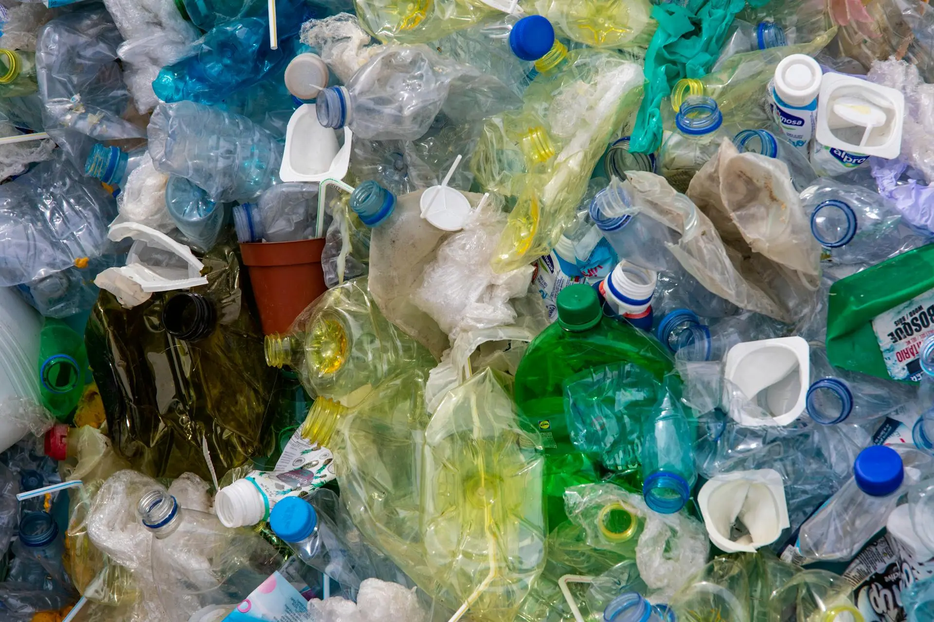 Cientistas buscam soluções naturais para a degradação do plástico com micróbios inovadores