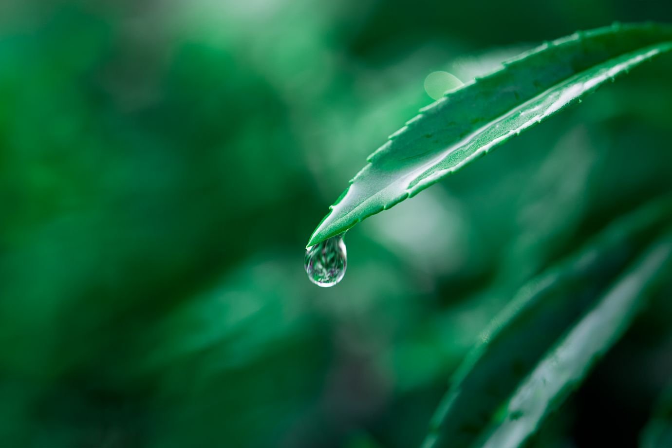 Sustainable Finance Summit 2025 em Goiânia promove diálogo sobre finanças sustentáveis e impacto social positivo