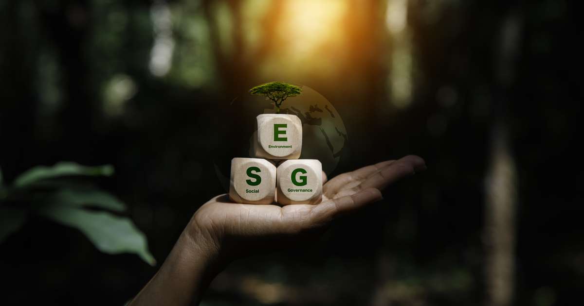 Qualificação em ESG se torna prioridade estratégica para CEOs brasileiros e ganha espaço em cursos gratuitos