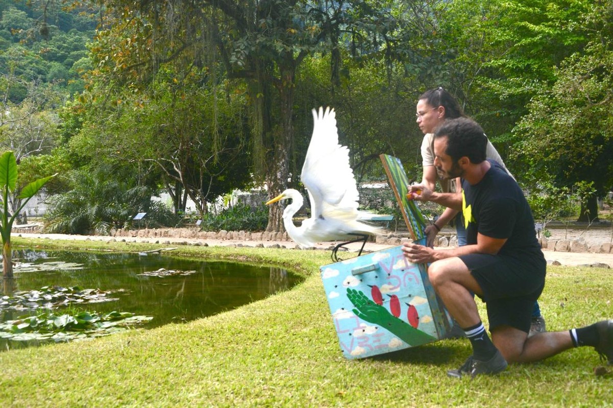 Instituto Vida Livre resgata e reabilita 15 mil animais silvestres em 10 anos de atuação no Brasil