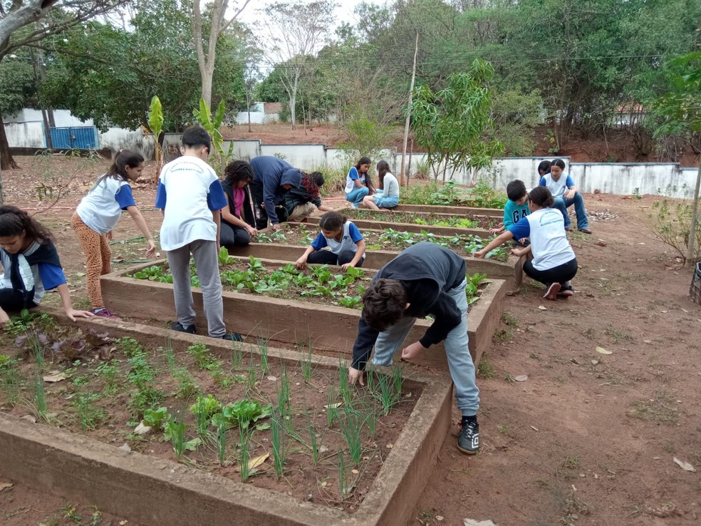 Estudantes de Álvares Machado transformam restos de alimentos em adubo e representam região em conferência nacional sobre meio ambiente