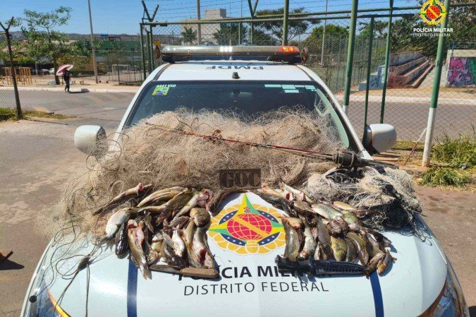 Polícia Militar Ambiental apreende 230 metros de rede de pesca e 78 peixes em São Sebastião