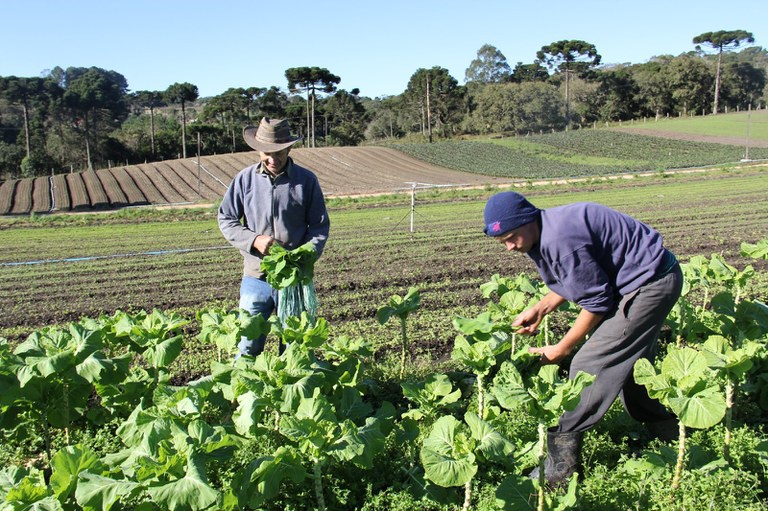 "AgroAmigo conecta agricultores familiares a microcrédito rural e transforma vidas no campo"