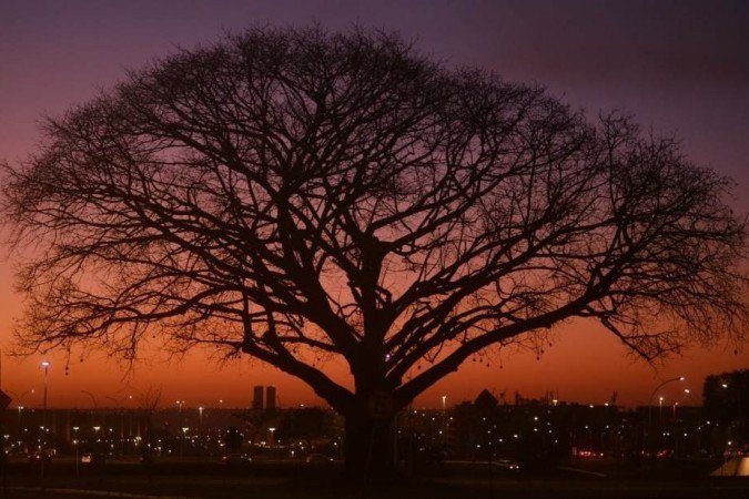 Alerta de baixa umidade em todo o centro-oeste do Brasil pode agravar riscos de incêndios florestais