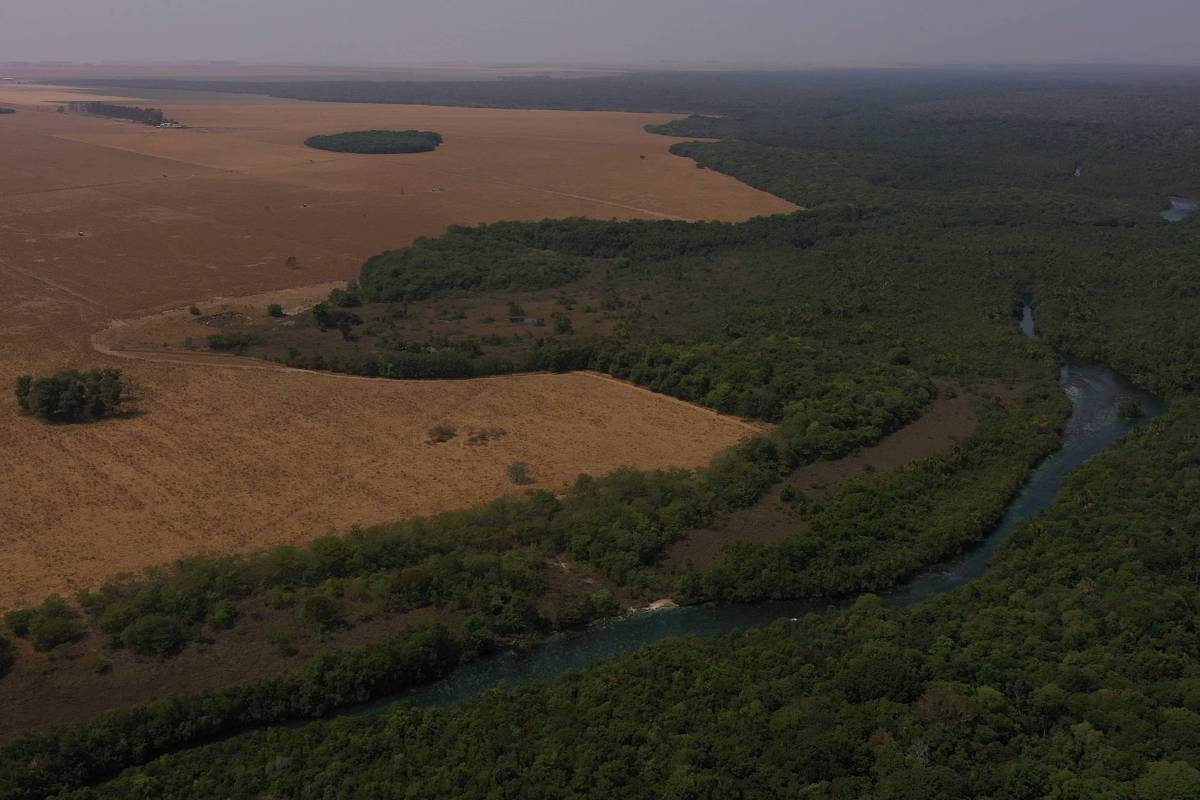 "Projeto Conserv remunera produtores para preservar florestas e combate ao desmatamento legal na Amazônia"