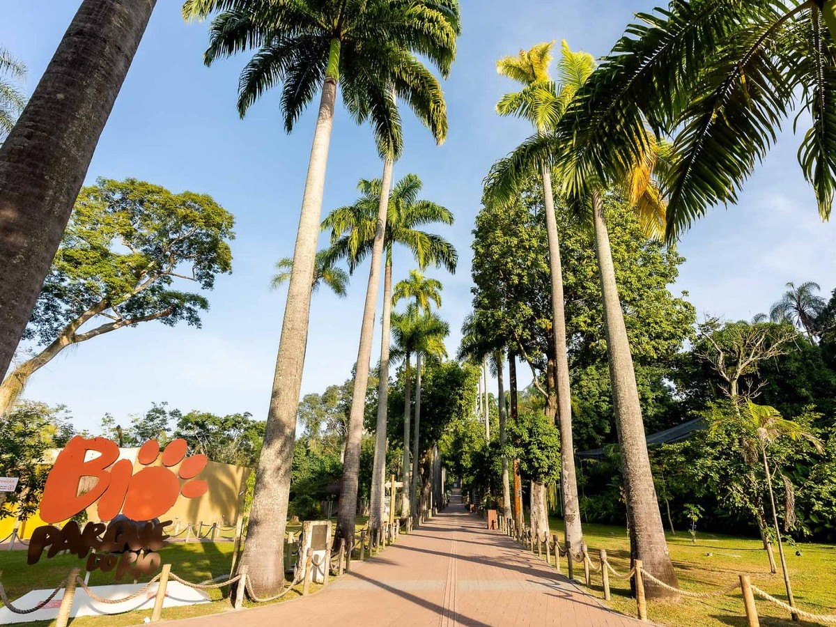 BioParque do Rio reabre com atividades educativas e entrada gratuita para crianças após surto de gripe aviária