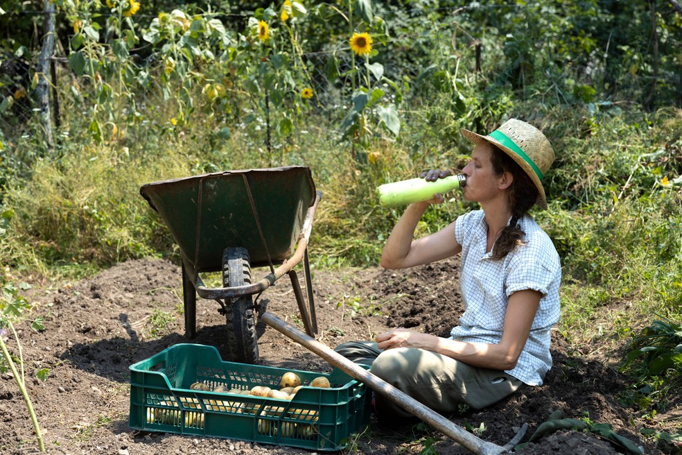 Temperaturas globais em alta ameaçam a saúde e a produtividade dos trabalhadores, alerta ONU