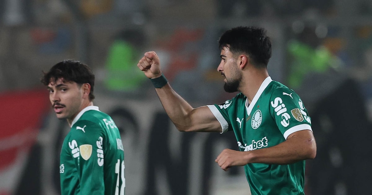 Libertadores gera impacto ambiental com plantio de árvores a cada gol marcado na competição