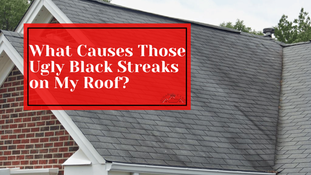 What-Causes-Those-Ugly-Black-Streaks-on-My-Roof?