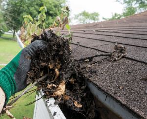 Free-Gutter-Cleaning-from-Sugar-Land-Premier-Roofing!