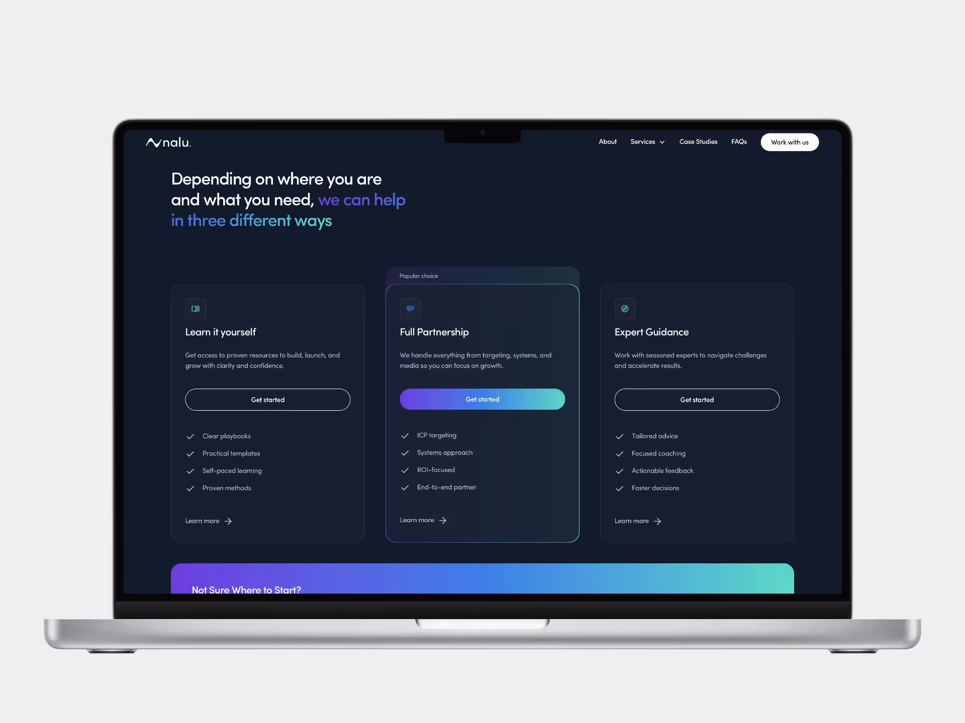 A mockup of the Nalu Partners pricing section on an Apple Macbook Pro