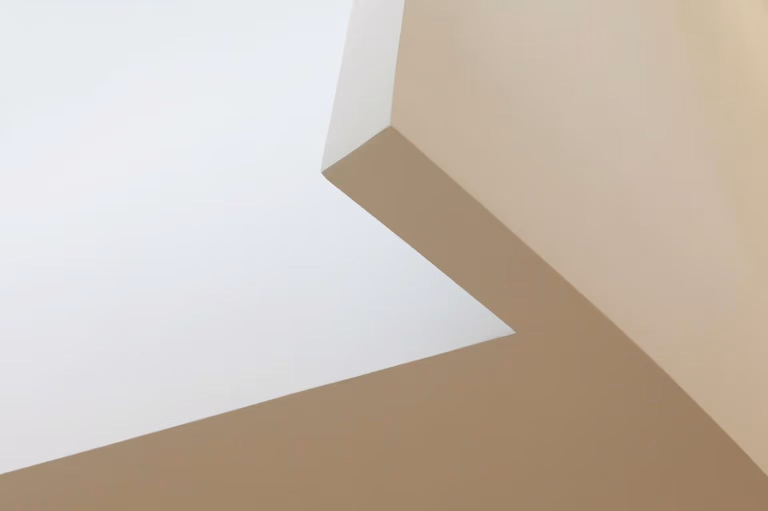 Abstract white and gray image, natural earth tones and shapes