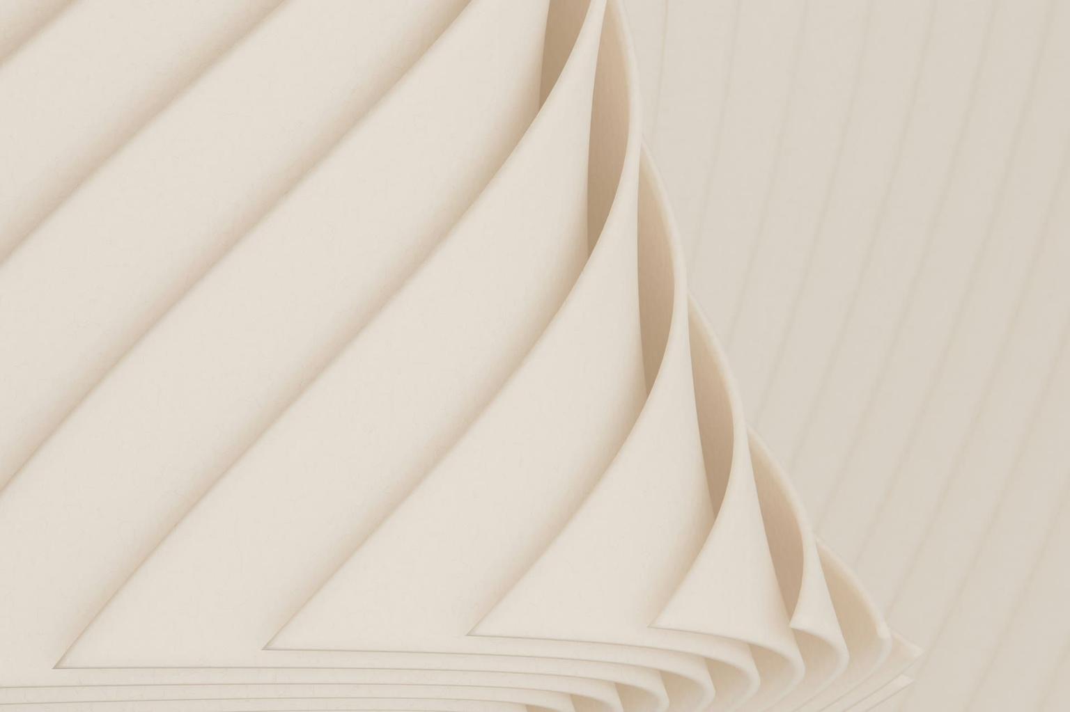 Abstract white and gray image, natural earth tones and shapes