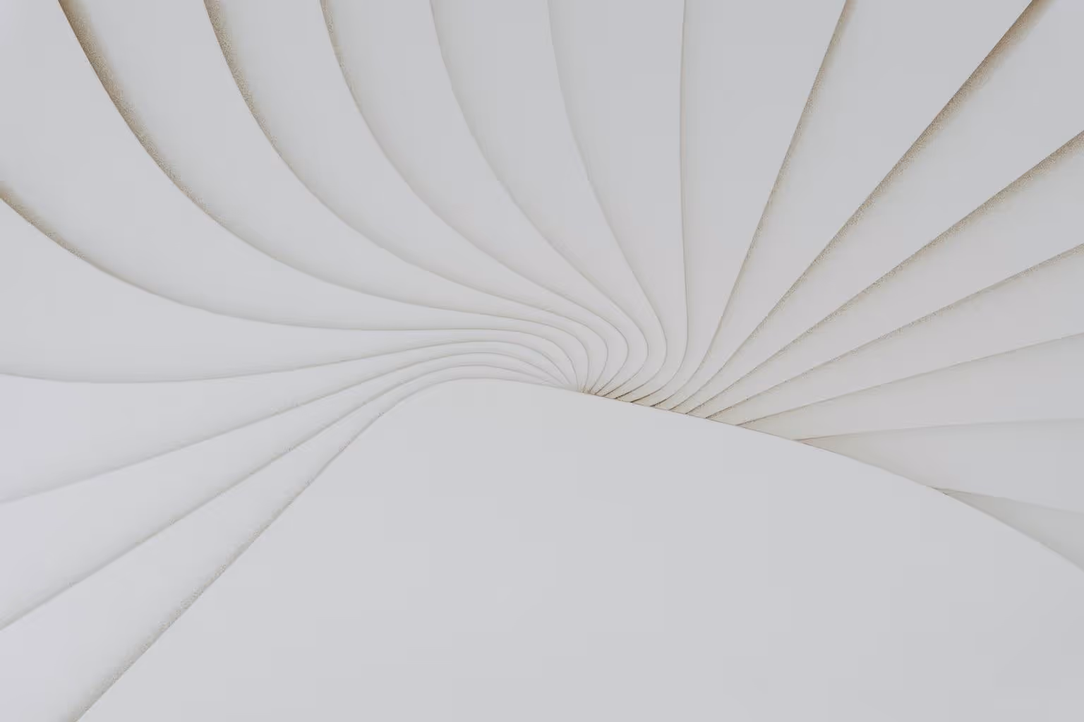 Abstract white and gray image, natural earth tones and shapes