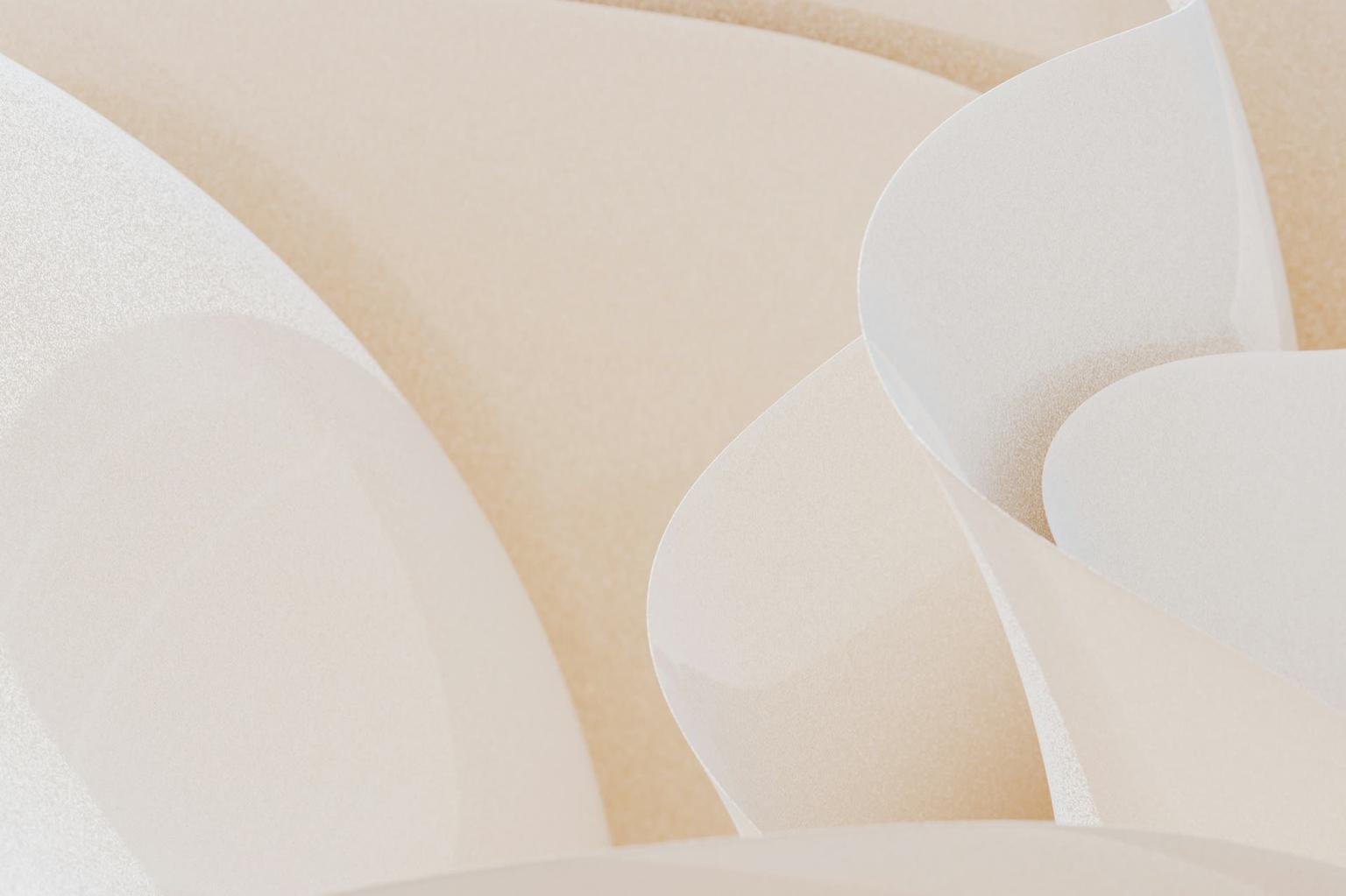 Abstract white and gray image, natural earth tones and shapes