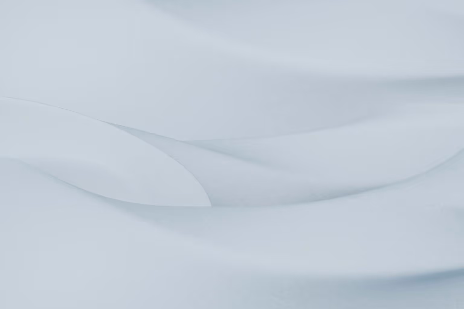 Abstract white and gray image, natural earth tones and shapes