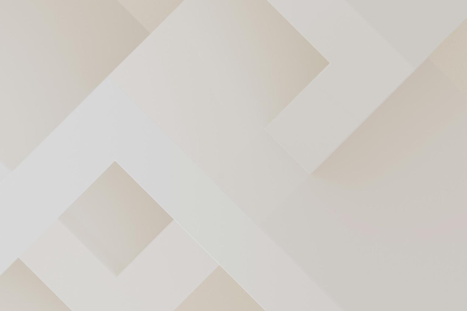 Abstract white and gray image, natural earth tones and shapes