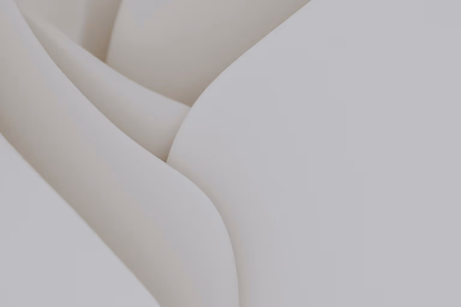 Abstract white and gray image, natural earth tones and shapes