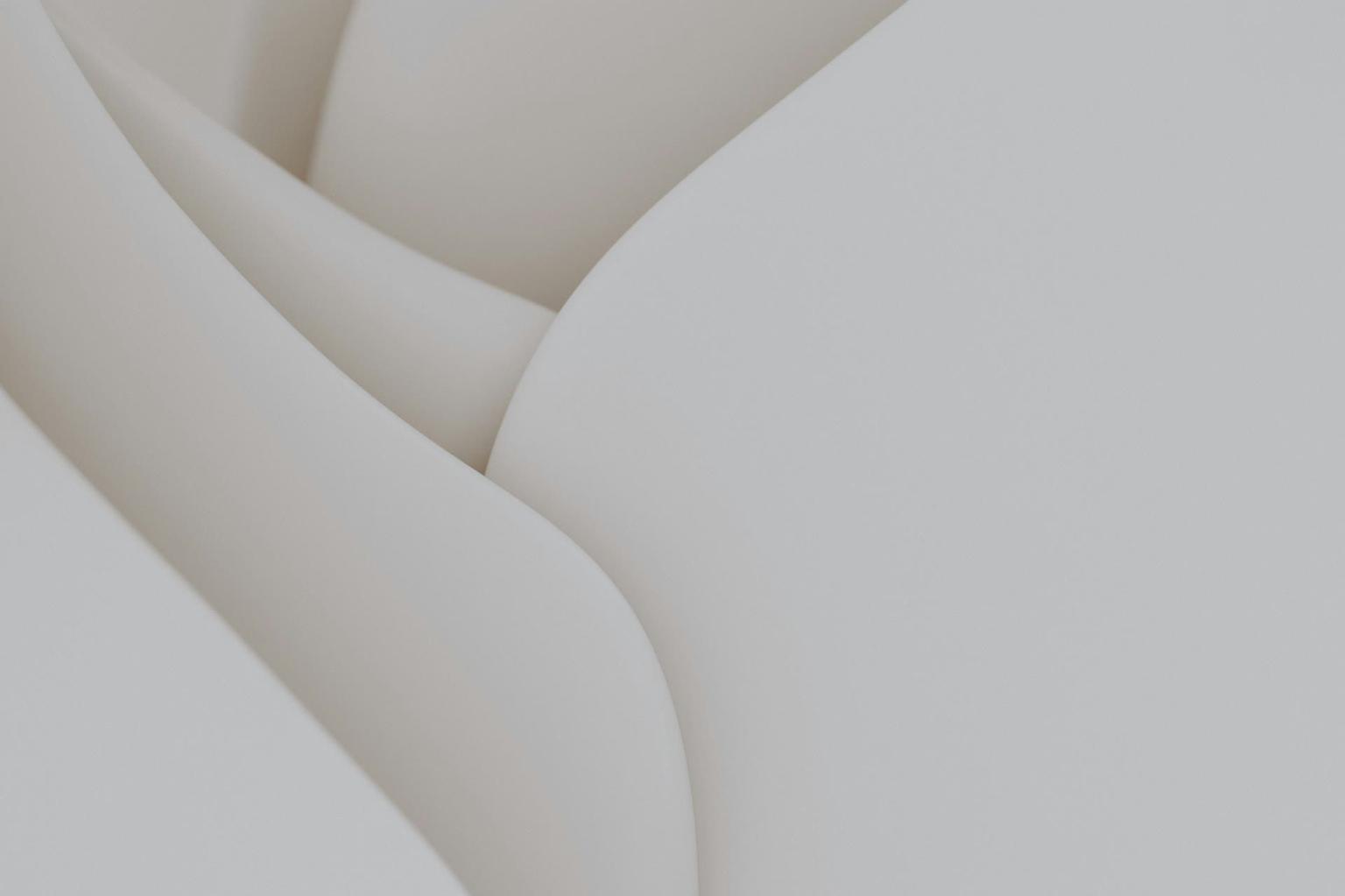 Abstract white and gray image, natural earth tones and shapes