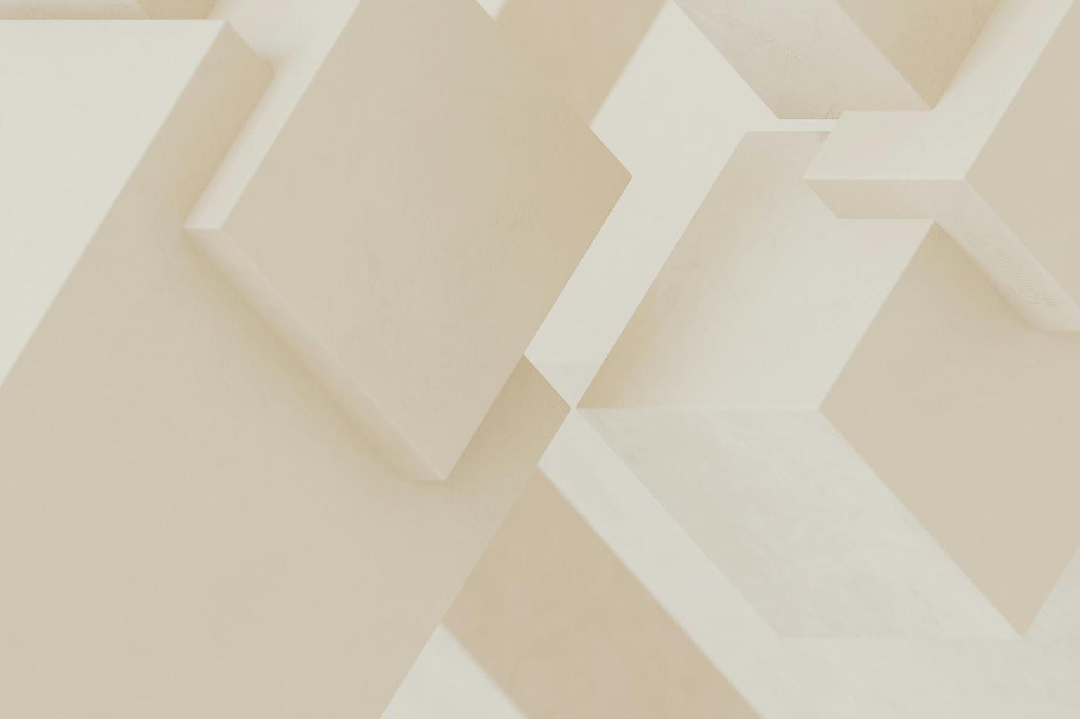 Abstract white and gray image, natural earth tones and shapes