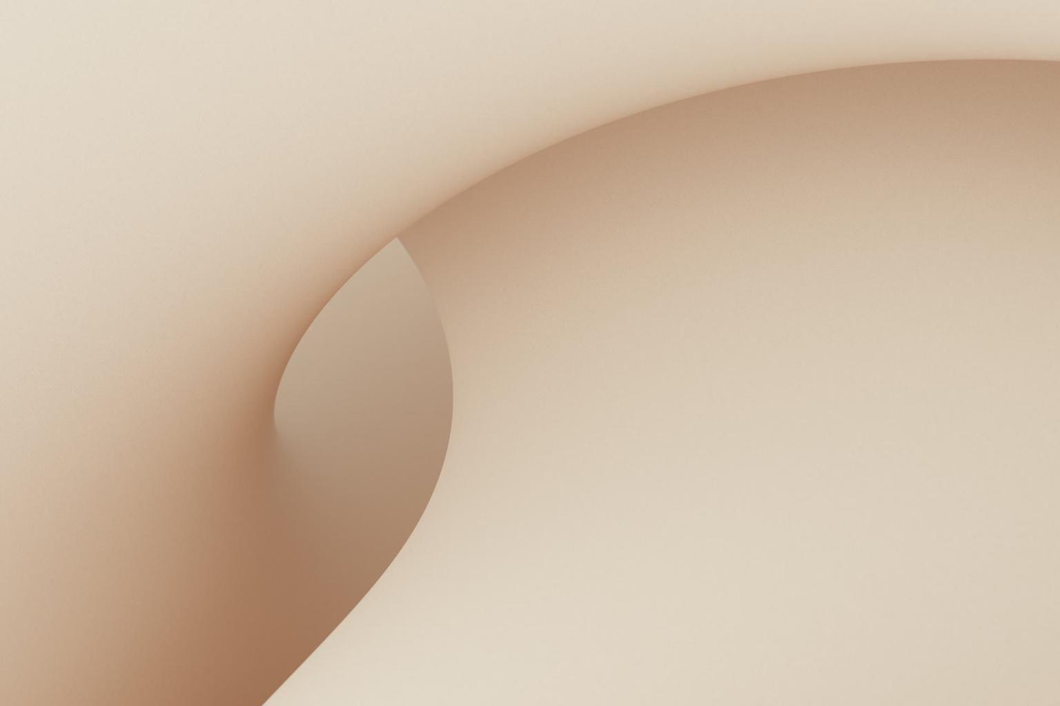 Abstract white and gray image, natural earth tones and shapes